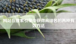 网站在搜索引擎中获得高排名的两种有效方法
