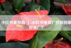 小红书乘风商 ｜ 小红书乘风广告如何做好推广？