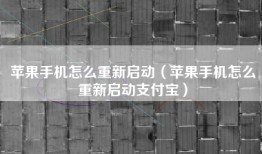 苹果手机怎么重新启动（苹果手机怎么重新启动支付宝）