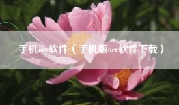 手机ocr软件（手机版ocr软件下载）