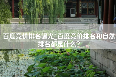 百度竞价排名曝光_百度竞价排名和自然排名都是什么？