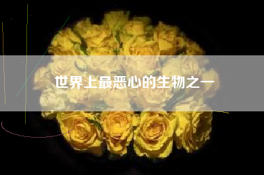 世界上最恶心的生物之一
